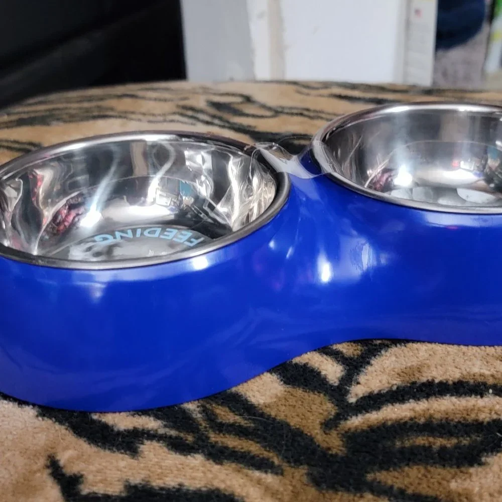 Pet Bowl Set Dog or Cat Stainless blue small 7.1 fl oz.